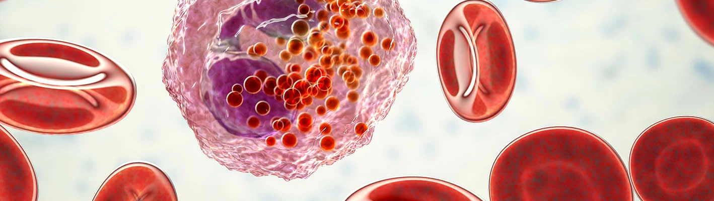 Повышение уровня эозинофилов в крови: причины и последствия